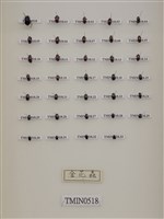警戒色昆蟲藏品圖，第2張